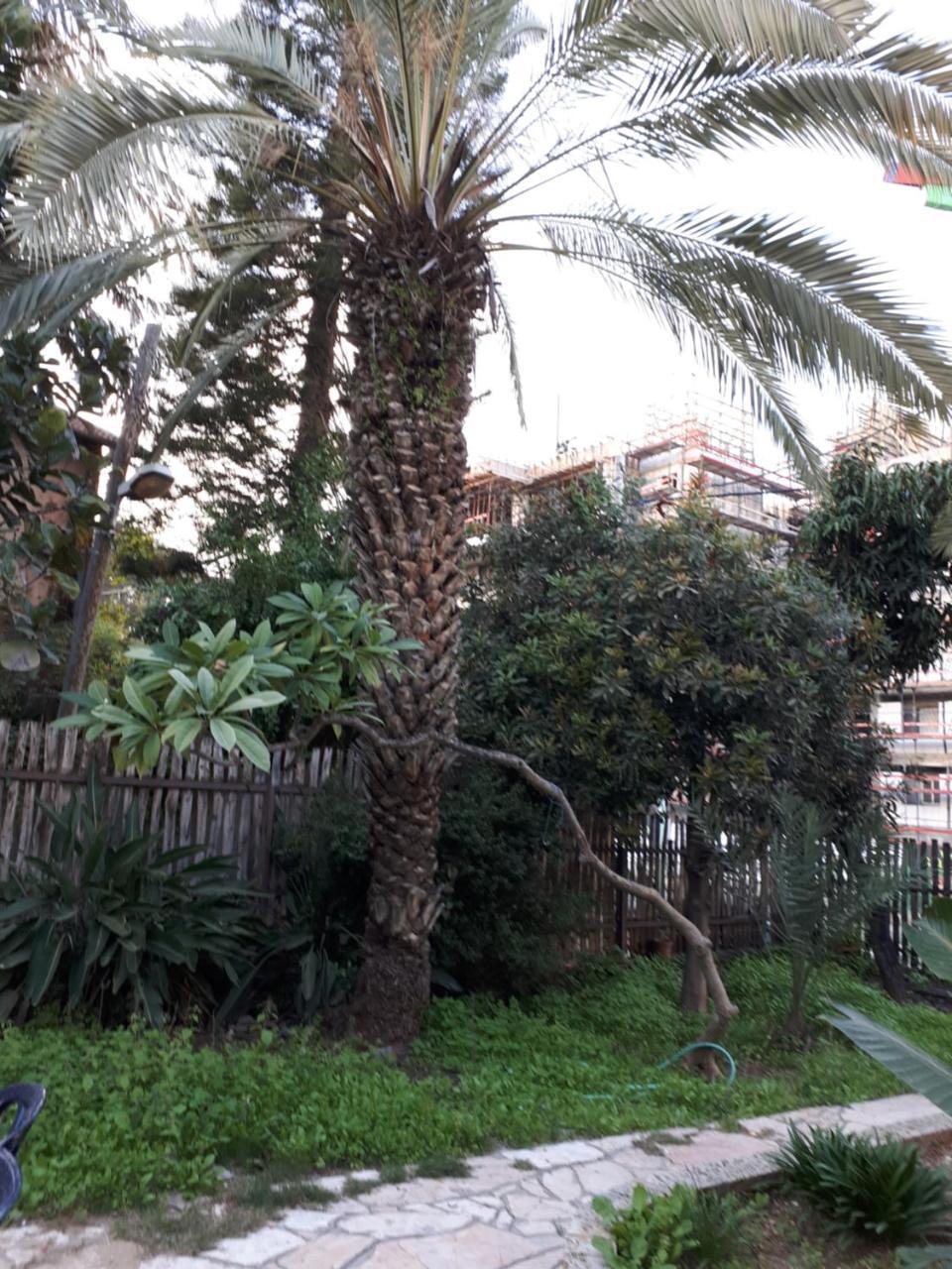 فندق Etty'S House Petach Tikva المظهر الخارجي الصورة