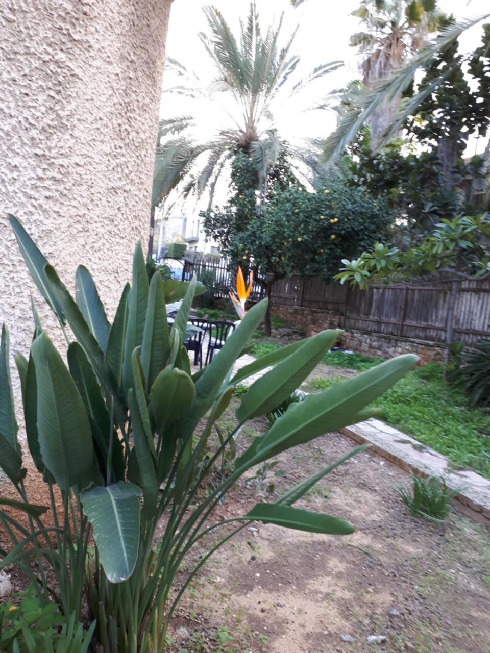 فندق Etty'S House Petach Tikva المظهر الخارجي الصورة
